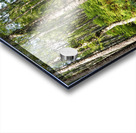 Scottish Highlands Ferns Trail                                                                                                                  Acrylic print