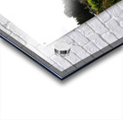 Scottish Highlands Heather Landscape                                                                                                                      Acrylic print