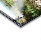 Scottish Highlands Peaceful Vibes                                                                                                                      Acrylic print