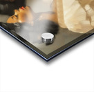 We Are The Dream Acrylic print