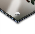 Red Apple Acrylic print