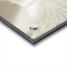 jeanne wings Acrylic print