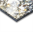 Prentice Gautt Oklahoma Sooner Touchdown Run Acrylic print