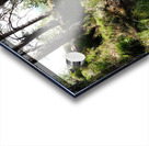  A Hill Top View in the Scottish Highlands                                                                                                                     Acrylic print