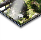   The Magical Place of the Fae in the Scottish Highlands                                                                                                                    Acrylic print