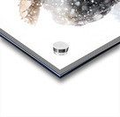 pictoretest Acrylic print