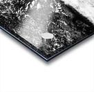 Scottish Highlands Monochrome Rowan Trees                                                                                                                      Acrylic print