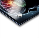 Braineeez 24 Acrylic print