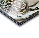 Braineeez 4011 Acrylic print