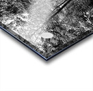 Natures Monochrome Trail in the Scottish Highlands                                                                                                                      Acrylic print