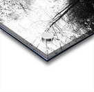   Monochrome Forest Path through the Scottish Highlands                                                                                                                     Acrylic print