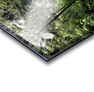 The Path through the Scottish Highlands                                                                                                                      Acrylic print