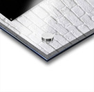 Test Great Grey Owl Acrylic print