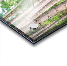 lookintomysoul8x10NEEDSTP Acrylic print