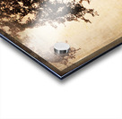 Misty Morning Acrylic print