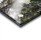  Rocky Forest Landscape in the Scottish Highlands                                                                                                                     Acrylic print