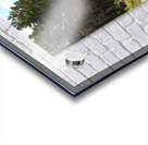 Pine and Fern Trail through the Scottish Highlands                                                                                                                      Acrylic print