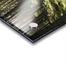 Pine Shadows in the Scottish Highlands                                                                                                                      Acrylic print