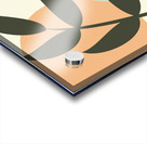 Modern Botanical Abstract Acrylic print