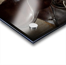 Barnyard Friends 2 Acrylic print