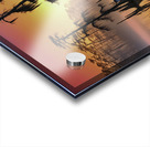 LETS PARK HERE Acrylic print