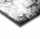  Natures Upward Flight through the Scottish Highlands                                                                                                                     Acrylic print