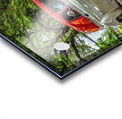 1950 CHEVROLET PANEL VAN Acrylic print