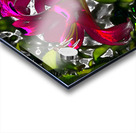  Abstract Vivid Lily Flowers                                                                                                                       Acrylic print