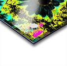 Abstract Daises on an Abstract Background  Acrylic print