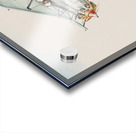 Single Bi Plane 14 14x11 34 Acrylic print