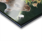 Strawberry Mouse 8x10 Acrylic print