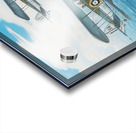 Torpedo bi planes 20 58 x 23 Acrylic print