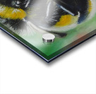 Bumblebee Feast Acrylic print