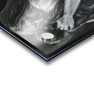 Desire Acrylic print