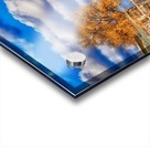 9092746399_d6251264c6_o Acrylic print