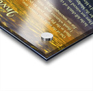 Invictus Acrylic print