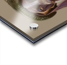 hipster dog Acrylic print