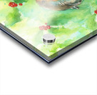 Robin in a holly bush Acrylic print