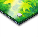 Maple leaves in green acrylic painting Acrylic print