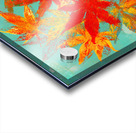 Red Japanese Maple leaves on blue acrylic painting Acrylic print