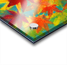 Colorful maple leaves acrylic painting Acrylic print