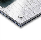 Light in the dark black and white cat acrylic painting Acrylic print