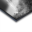 Porter Mountain Black and White Acrylic print