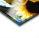 Vibrant Summer Sunflowers Acrylic print