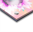 Sweet Pink Hibiscus Sunflower Acrylic print