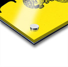 Early 1900s Iowa Hawkeyes Water Boy Art  Acrylic print