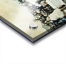 Early 1900s Colorado Buffaloes vs. Colorado College Tigers Acrylic print