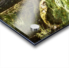 Peace in the Woods in the Scottish Highlands Acrylic print