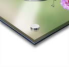 Black Swallowtail on a Pink Butterfly Bush Acrylic print