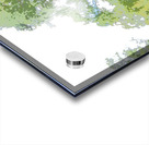 Abstract Forest in the Scottish Highlands                                                                                                                       Acrylic print